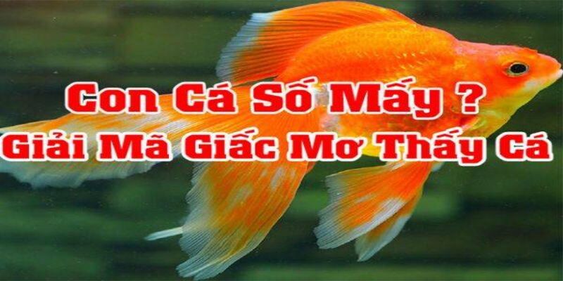 Lựa chọn một con số may mắn 